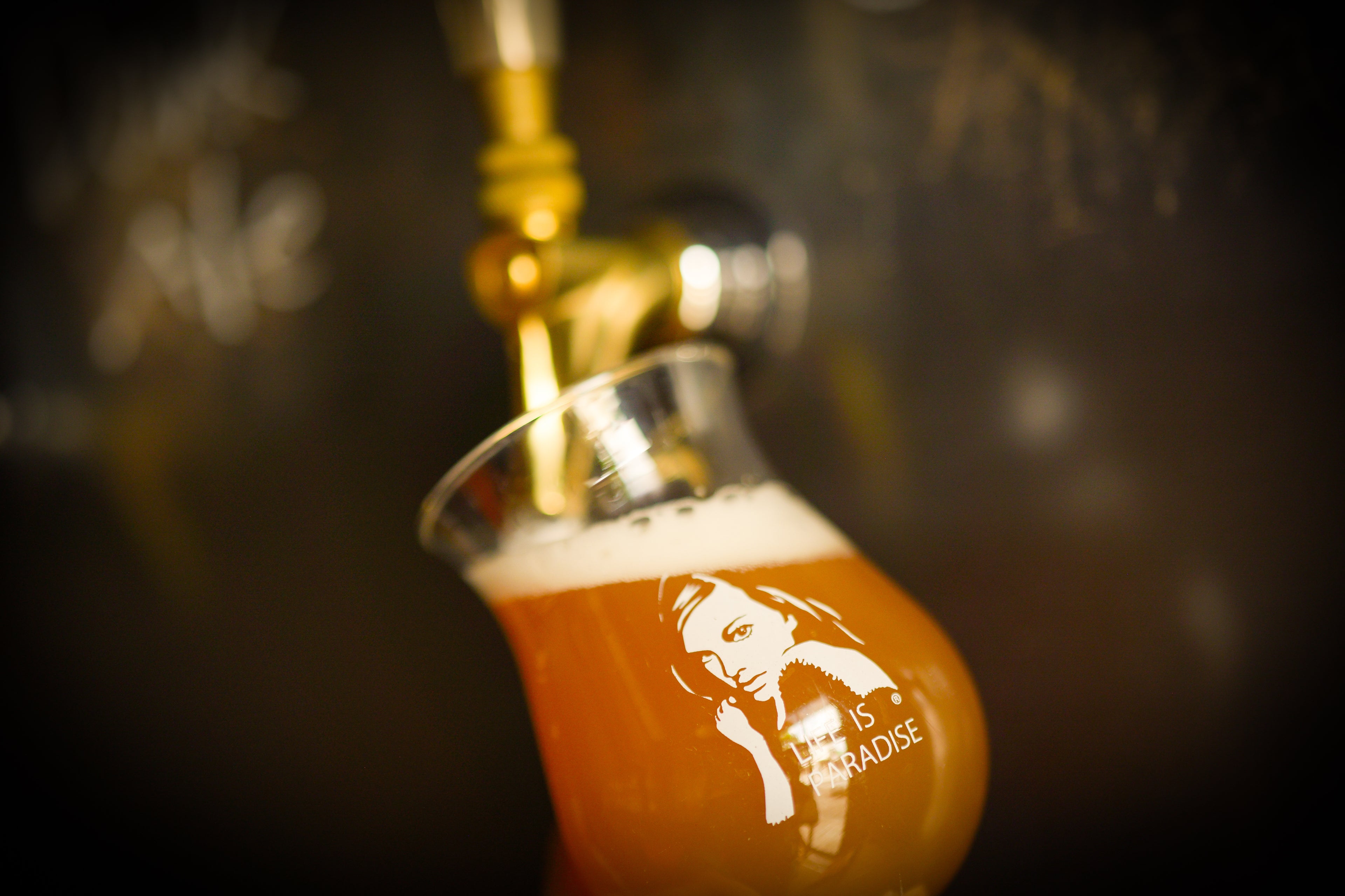 動画を読み込む: 