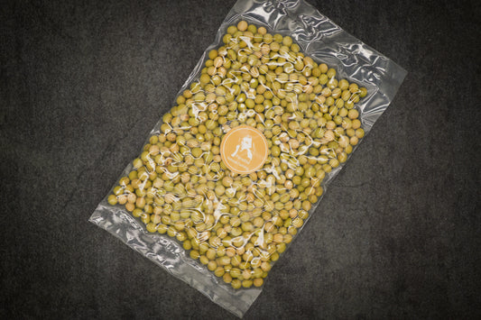 自然栽培で育てた鹿嶋在来大豆